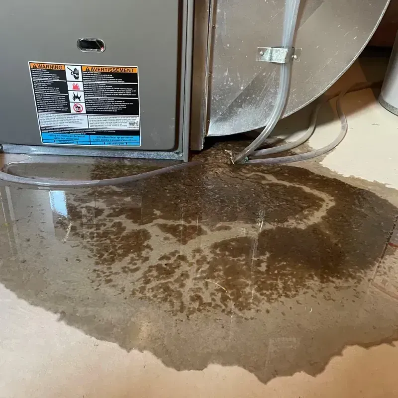 Appliance Leak Cleanup in Rosendale, WI